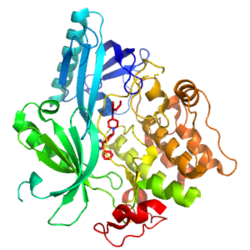 Crystal Structure of AKT1 in Complex with a Covalent-Allosteric AKT Inhibitor