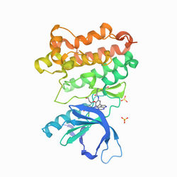 Crystal Structure of EGFR T790M/V948R in Complex with covalent Pyrrolopyrimidine