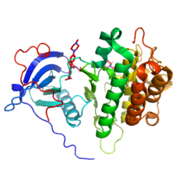 Crystal Structure of EGFR-T790M/C797S in Complex with a Covalent Pyrrolopyrimidine derrivative